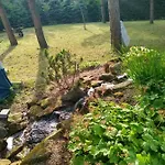 Holiday home Miedzy Sosnami Pasym