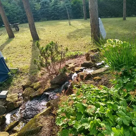 Holiday home Miedzy Sosnami Pasym