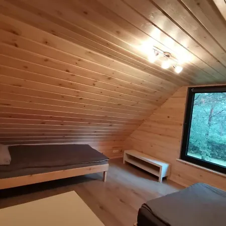 Miedzy Sosnami Pasym